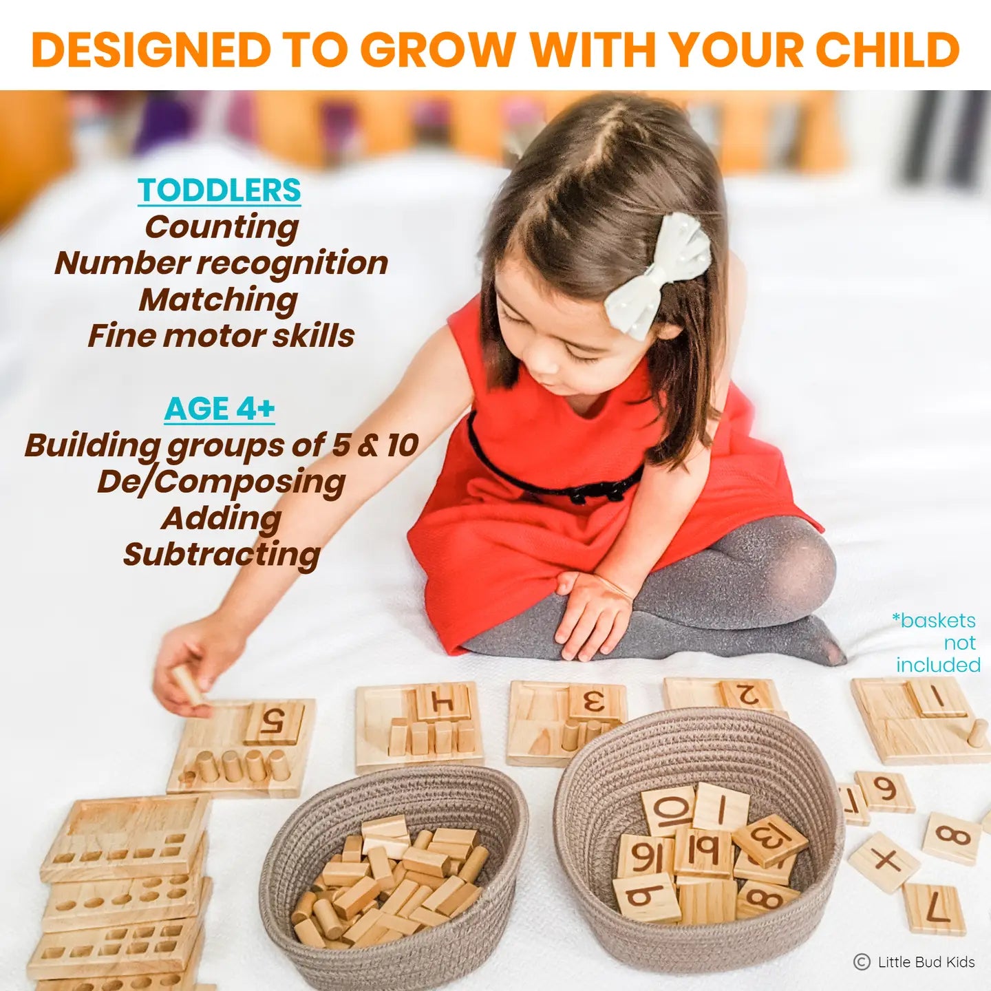 Counting Pegs Math Set