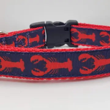 Dog Collar Lobster