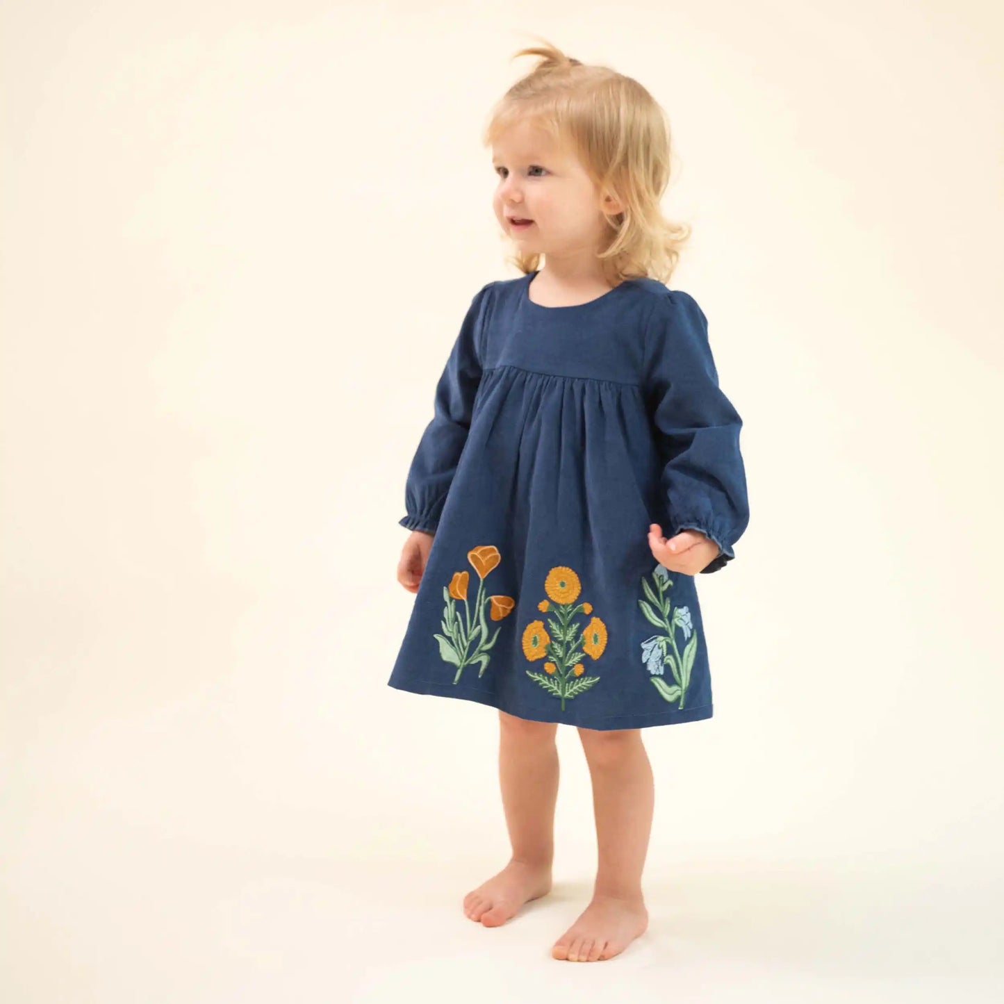 Mud Pie Cord Embroidered Dress