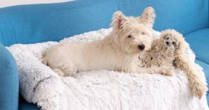 Tall Tails Cuddler