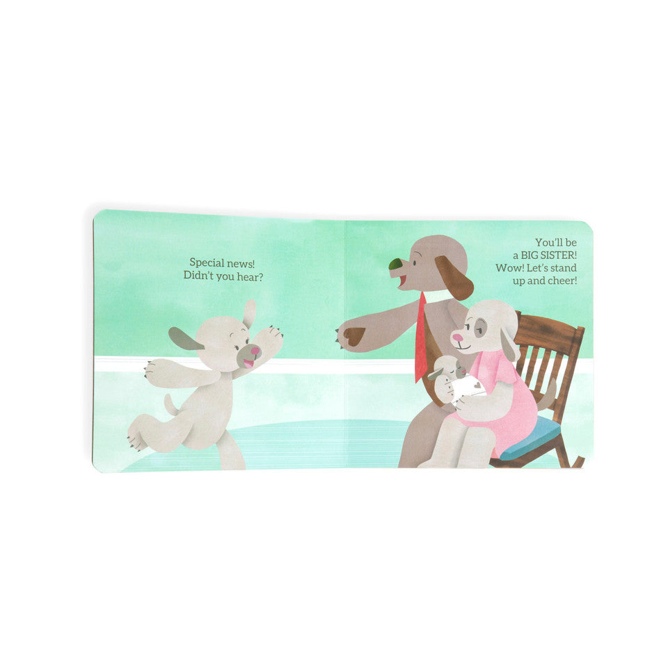 Demdaco Big Sister Book