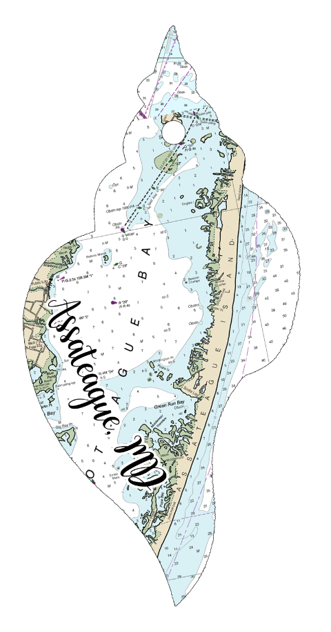 Wood Ornament - Shell Shape - Custom Map Location