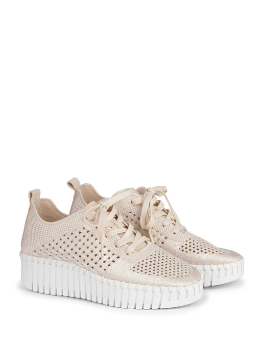 Ilse Jacobson Lace Up Sneaker Kit/White