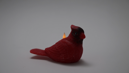 Mud Pie Cardinal Flameless Candles